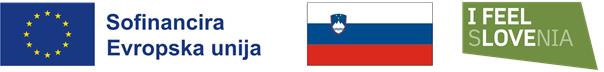 logo EU Slo IFS